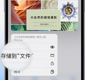 富锦apple维修中心分享iPhone文件应用中存储和找到下载文件