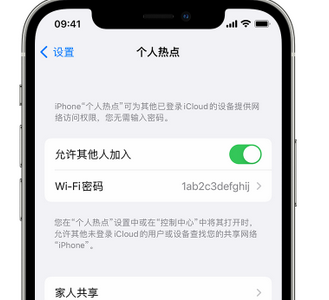 富锦apple服务站点分享iPhone上个人热点丢失了怎么办