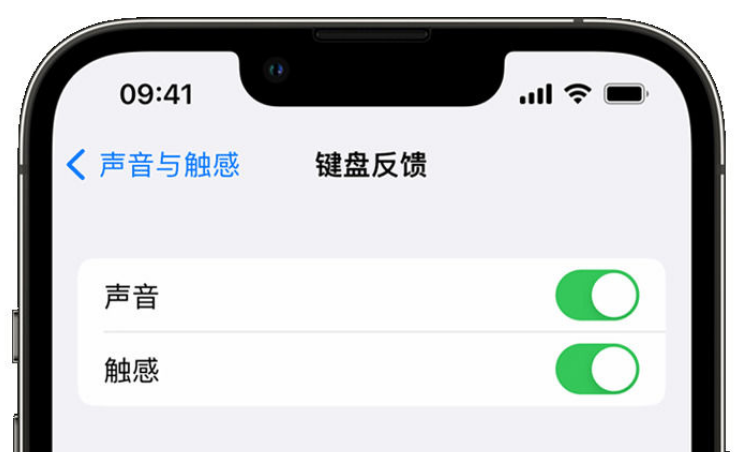 富锦苹果手机维修分享iPhone 14触感键盘使用方法 