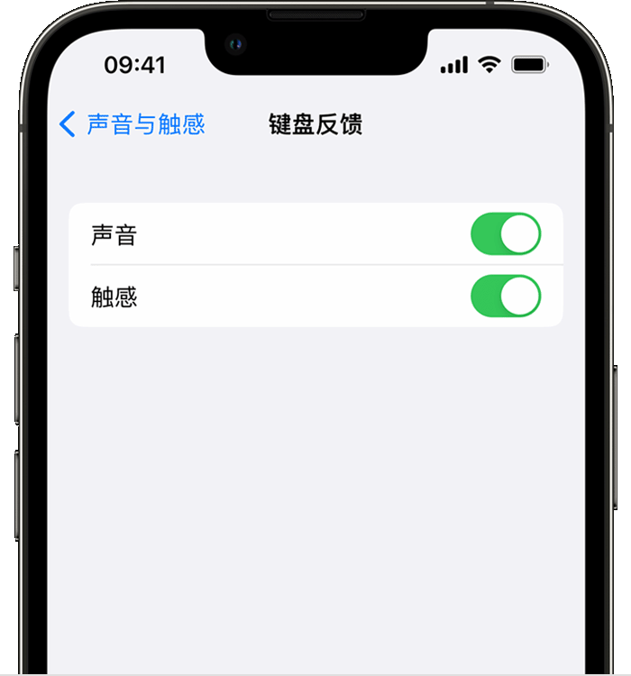 富锦苹果14维修店分享如何在 iPhone 14 机型中使用触感键盘 