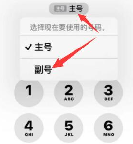 富锦苹果14维修店分享iPhone 14 Pro Max使用副卡打电话的方法 