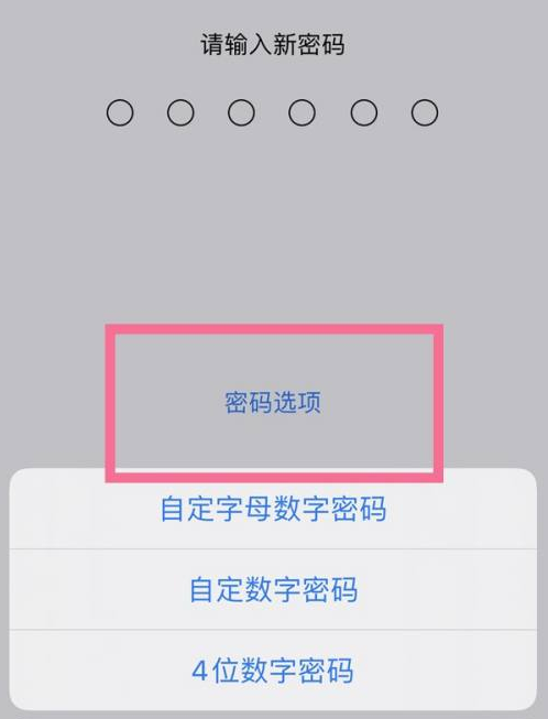 富锦苹果14维修分享iPhone 14plus设置密码的方法 