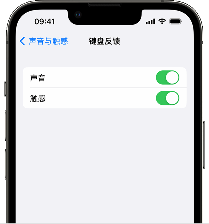 富锦苹果14维修分享iPhone 14 系列机型如何开启键盘声音或触感反馈 