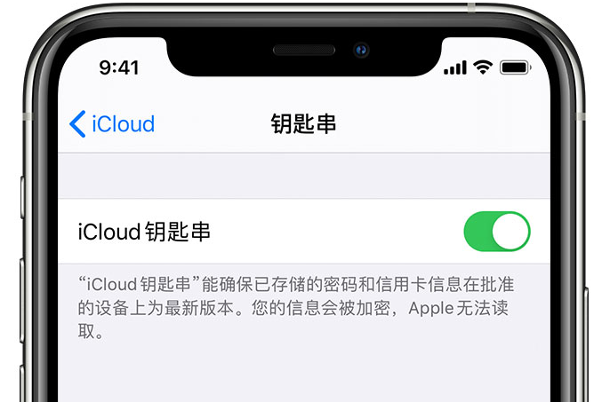 富锦苹果手机维修分享在 iPhone 上开启 iCloud 钥匙串之后会储存哪些信息 