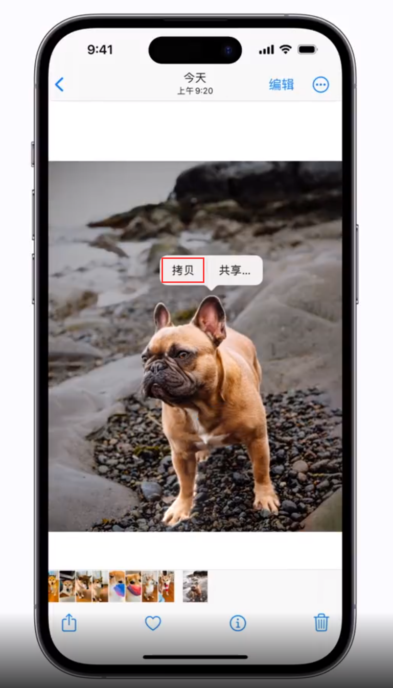 富锦苹果手机维修分享 iOS 16 自带一键抠图功能 