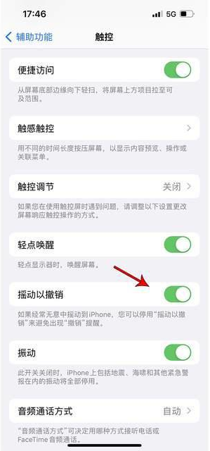 富锦苹果手机维修分享iPhone手机如何设置摇一摇删除文字 