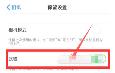 富锦苹果13维修分享iPhone13拍照有绿点是怎么回事 