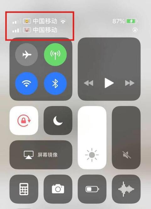 富锦苹果手机维修分享为 iPhone 12 双卡设置标签 