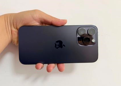 富锦苹果维修点分享iPhone 14 Pro Max黑屏少见故障盘点 